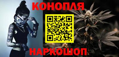 соль ск Новозыбков
