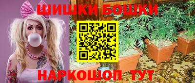 мдпв Нальчик